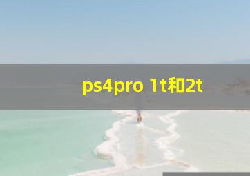 ps4pro 1t和2t